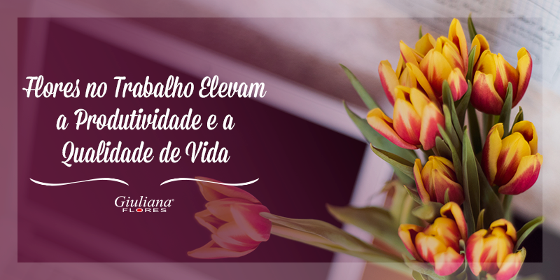 Flores no Trabalho Elevam a Produtividade e a Qualidade de Vida